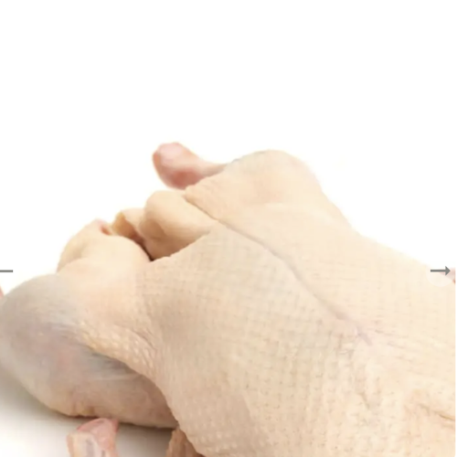 South Australian Small Farm Goose