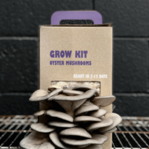 Mushroom Grow Kit Assorted