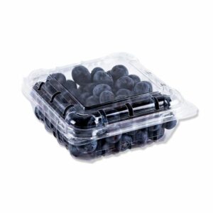 Blueberry Punnet