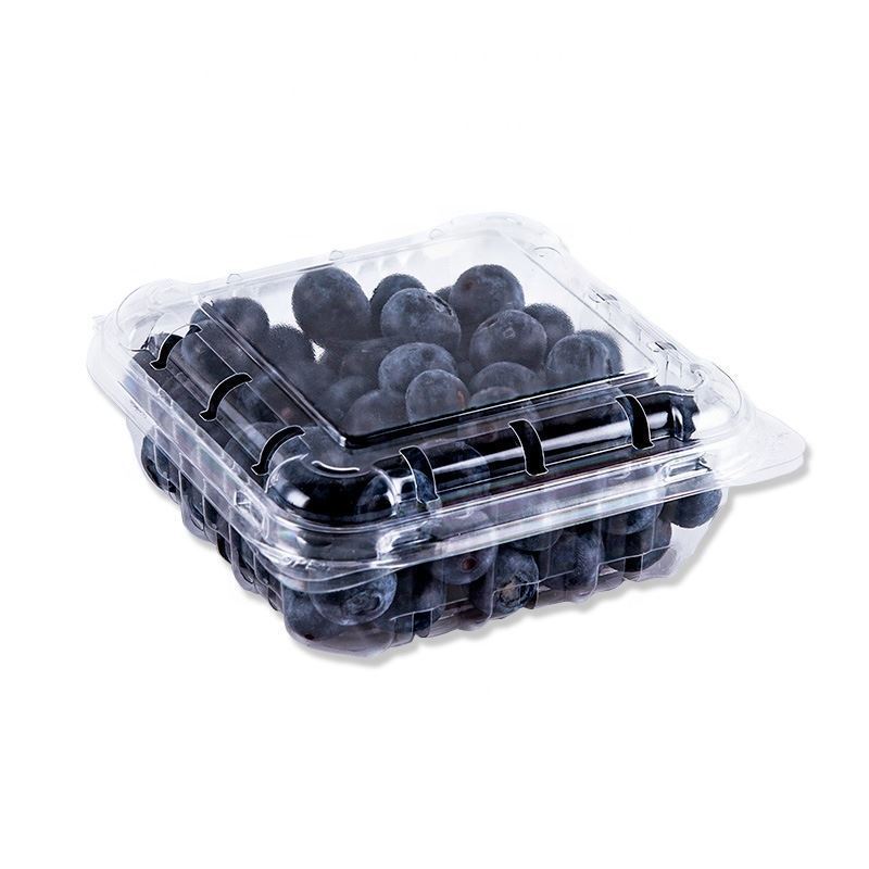 Blueberry Punnet