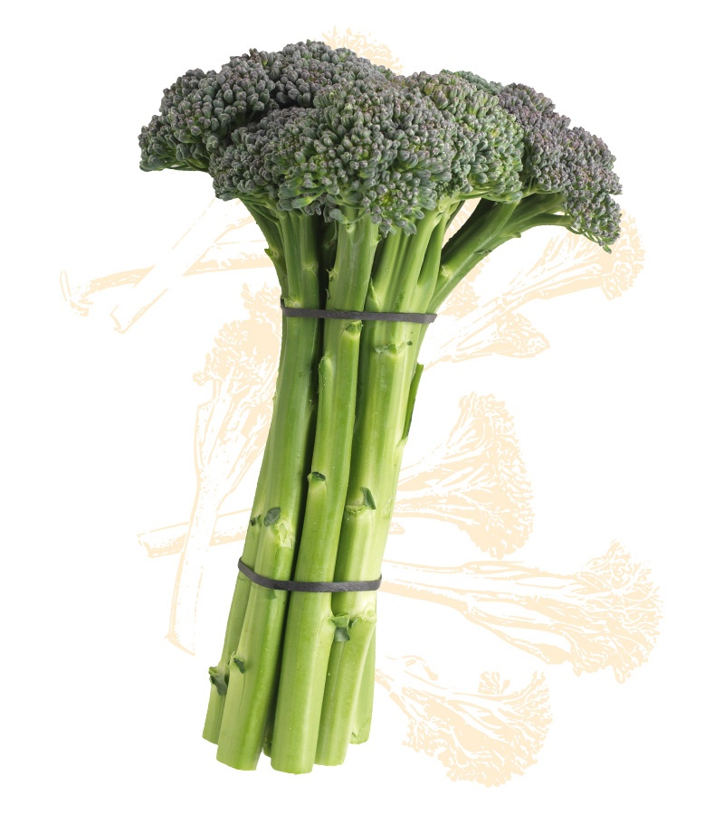Certified Organic Broccolini