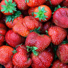 Certified Organic Strawberries