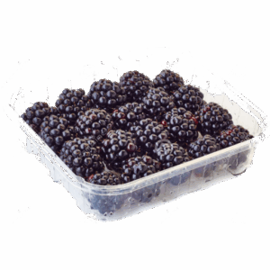 Blackberry Punnet
