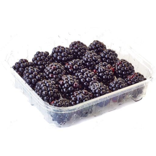 Blackberry Punnet