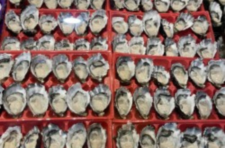 Out of the Blue seafood