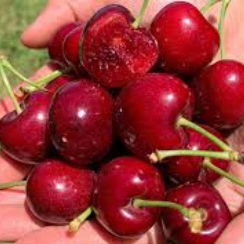 Premium cherries - Image 2
