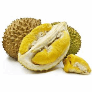 Musang King Durian