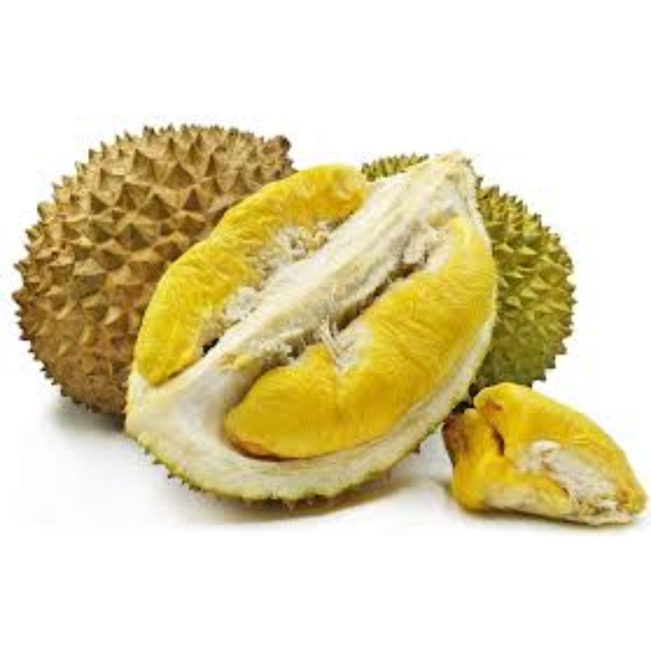 Musang King Durian