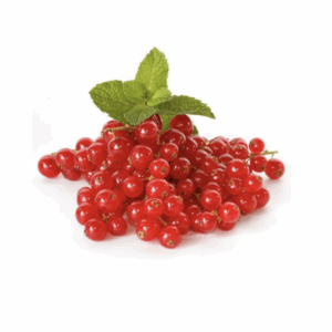 Fresh Red Currant Punnet