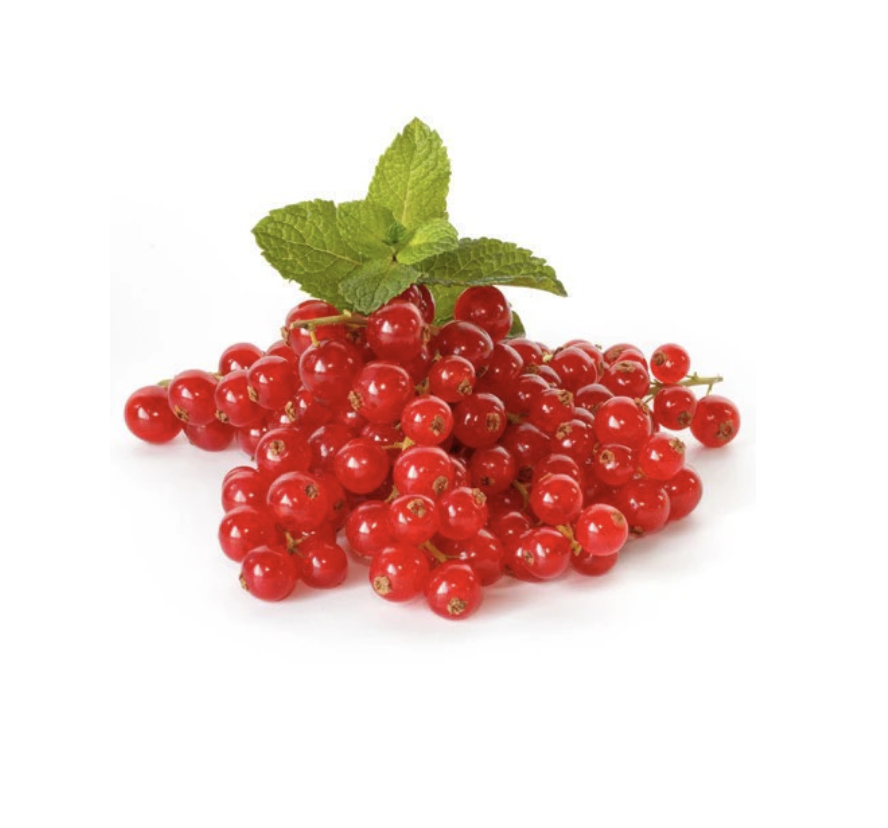 Fresh Red Currant Punnet