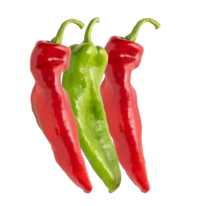 Bullhorn Chilli