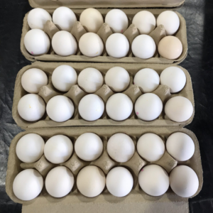 White Eggs Caged