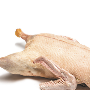 South Australian Small Farm Goose