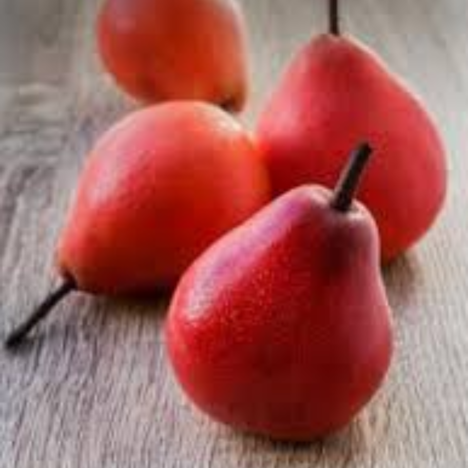 Papple - Image 2