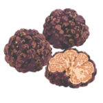 Truffle