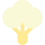 Cauliflower