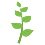 Herbs