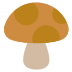 Mushroom