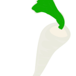 Parsnips