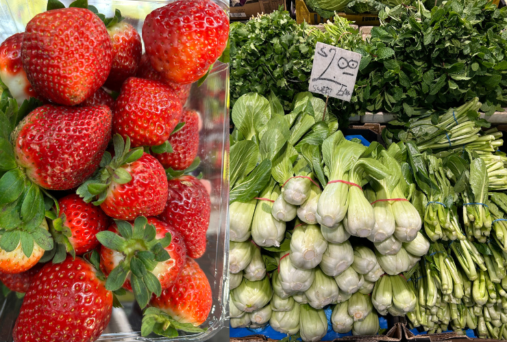 Fruit & Veg